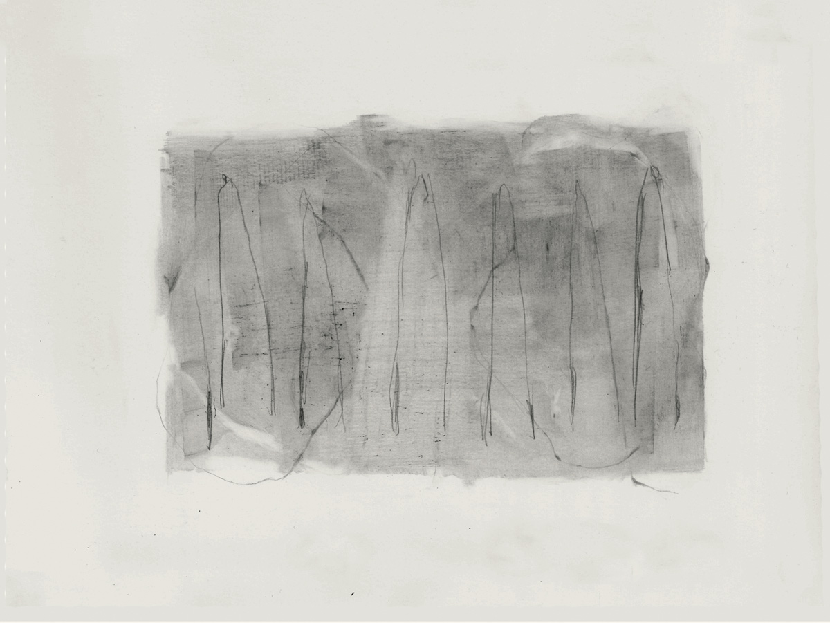 tommaso-gorla